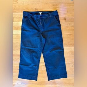 Daily Ritual women’s wide leg cropped khaki pants navy size 14